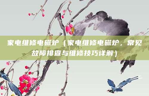 家电维修电磁炉（家电维修电磁炉，常见故障排查与维修技巧详解）