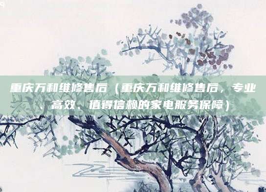 重庆万和维修售后（重庆万和维修售后，专业、高效、值得信赖的家电服务保障）