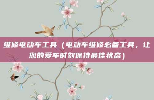 维修电动车工具（电动车维修必备工具，让您的爱车时刻保持最佳状态）