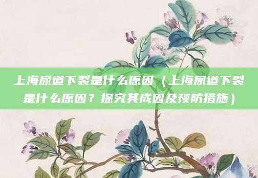 上海尿道下裂是什么原因（上海尿道下裂是什么原因？探究其成因及预防措施）