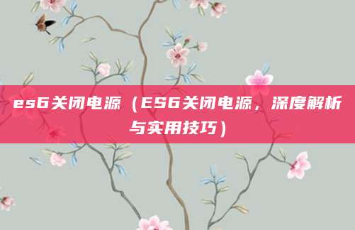 es6关闭电源（ES6关闭电源，深度解析与实用技巧）