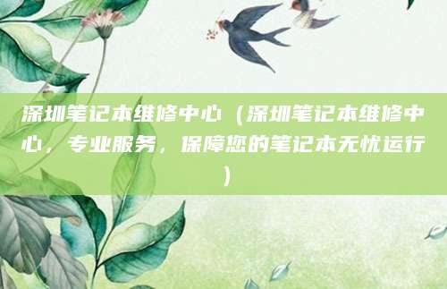 深圳笔记本维修中心（深圳笔记本维修中心，专业服务，保障您的笔记本无忧运行）