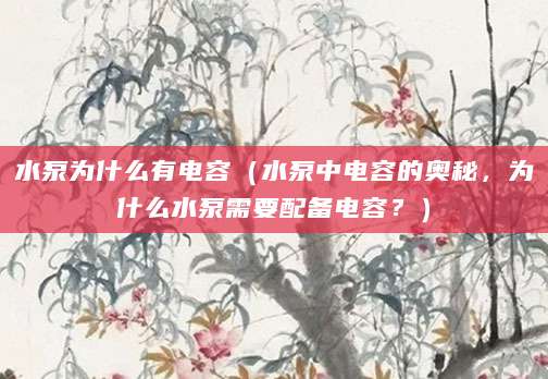 水泵为什么有电容（水泵中电容的奥秘，为什么水泵需要配备电容？）