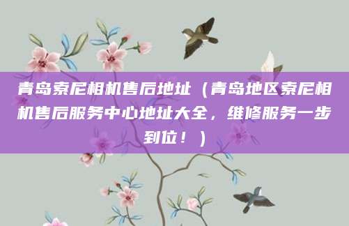 青岛索尼相机售后地址（青岛地区索尼相机售后服务中心地址大全，维修服务一步到位！）