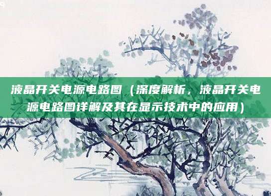 液晶开关电源电路图（深度解析，液晶开关电源电路图详解及其在显示技术中的应用）