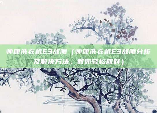 帅康洗衣机E3故障（帅康洗衣机E3故障分析及解决方法，教你轻松应对）