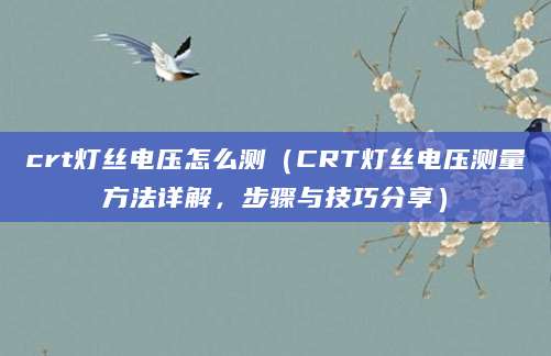 crt灯丝电压怎么测（CRT灯丝电压测量方法详解，步骤与技巧分享）