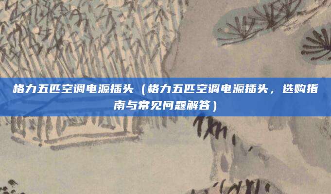 格力五匹空调电源插头（格力五匹空调电源插头，选购指南与常见问题解答）