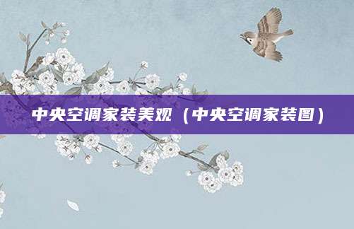 中央空调家装美观（中央空调家装图）