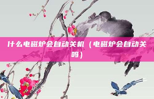 什么电磁炉会自动关机（电磁炉会自动关吗）