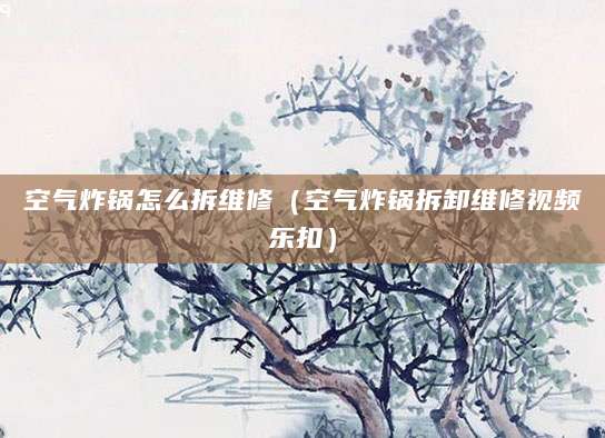 空气炸锅怎么拆维修（空气炸锅拆卸维修视频乐扣）