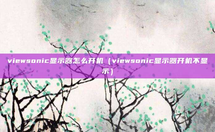 viewsonic显示器怎么开机（viewsonic显示器开机不显示）