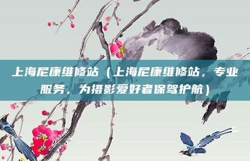 上海尼康维修站（上海尼康维修站，专业服务，为摄影爱好者保驾护航）