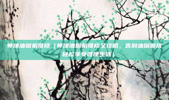 帅康油烟机维修（帅康油烟机维修全攻略，告别油烟困扰，轻松享受健康生活）