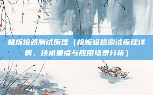 极板短路测试原理（极板短路测试原理详解，技术要点与应用场景分析）