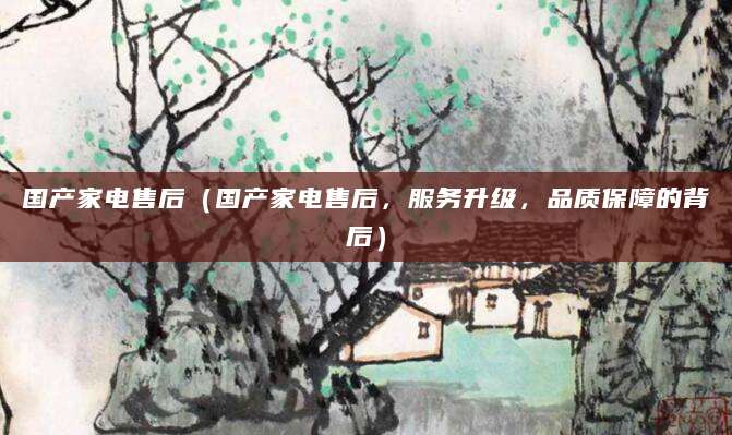 国产家电售后（国产家电售后，服务升级，品质保障的背后）