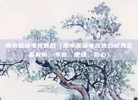 南京熊猫电视售后(南京熊猫电视售后服务全面解析,专业、便捷、贴心)