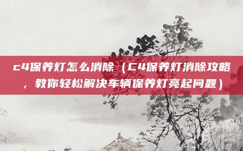 c4保养灯怎么消除(C4保养灯消除攻略,教你轻松解决车辆保养灯亮起问题)