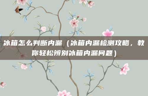 冰箱怎么判断内漏（冰箱内漏检测攻略，教你轻松辨别冰箱内漏问题）