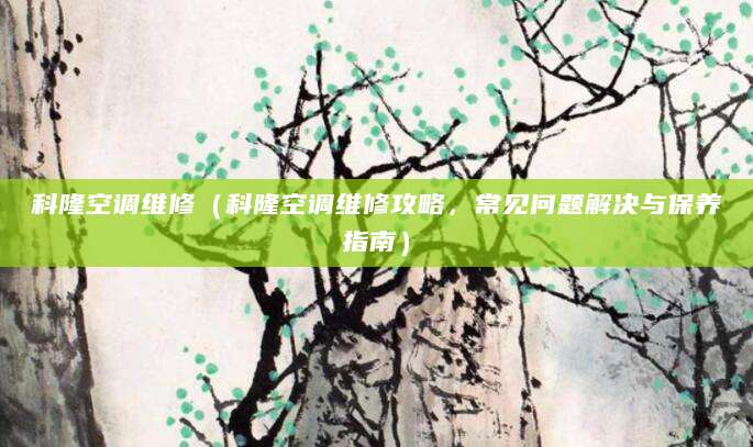 科隆空调维修（科隆空调维修攻略，常见问题解决与保养指南）
