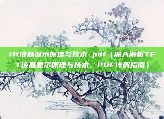tft液晶显示原理与技术 pdf（深入解析TFT液晶显示原理与技术，PDF详解指南）