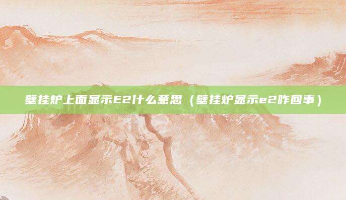 壁挂炉上面显示E2什么意思（壁挂炉显示e2咋回事）