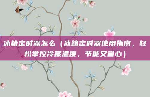 冰箱定时器怎么（冰箱定时器使用指南，轻松掌控冷藏温度，节能又省心）