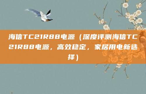 海信TC21R88电源（深度评测海信TC21R88电源，高效稳定，家居用电新选择）