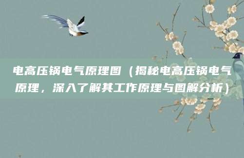 电高压锅电气原理图（揭秘电高压锅电气原理，深入了解其工作原理与图解分析）