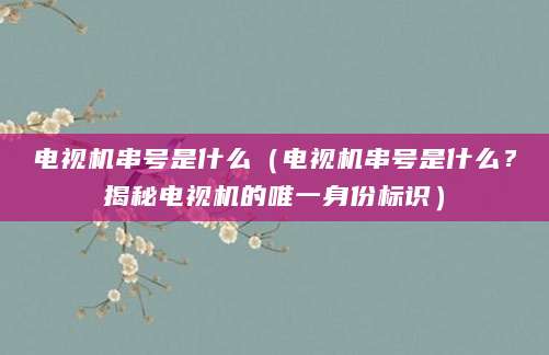 电视机串号是什么（电视机串号是什么？揭秘电视机的唯一身份标识）