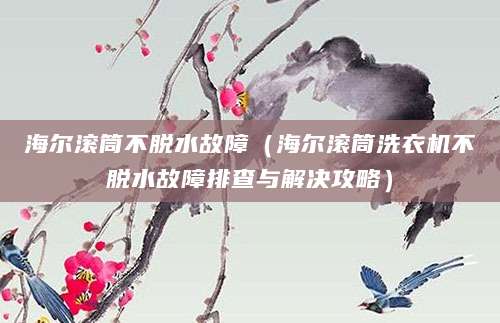 海尔滚筒不脱水故障（海尔滚筒洗衣机不脱水故障排查与解决攻略）