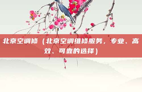 北京空调修（北京空调维修服务，专业、高效、可靠的选择）
