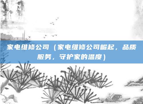 家电维修公司（家电维修公司崛起，品质服务，守护家的温度）