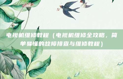 电视机维修教程（电视机维修全攻略，简单易懂的故障排查与维修教程）
