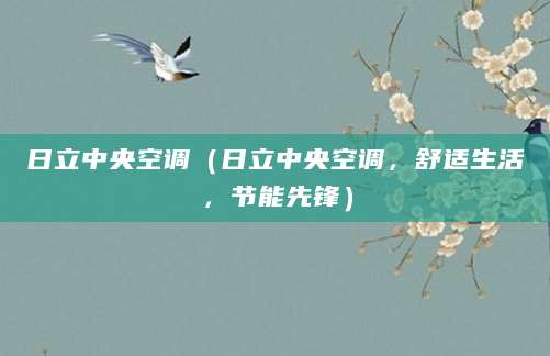 日立中央空调（日立中央空调，舒适生活，节能先锋）