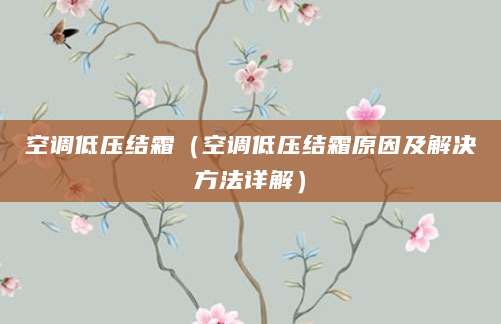 空调低压结霜（空调低压结霜原因及解决方法详解）