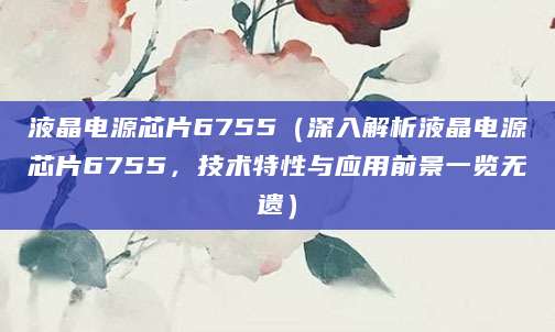 液晶电源芯片6755（深入解析液晶电源芯片6755，技术特性与应用前景一览无遗）