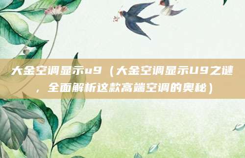 大金空调显示u9（大金空调显示U9之谜，全面解析这款高端空调的奥秘）