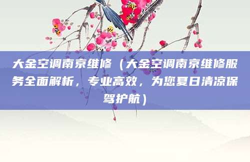 大金空调南京维修（大金空调南京维修服务全面解析，专业高效，为您夏日清凉保驾护航）