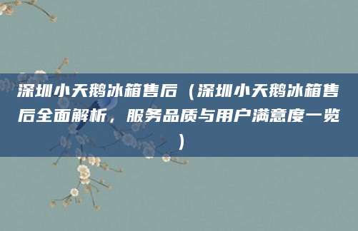 深圳小天鹅冰箱售后（深圳小天鹅冰箱售后全面解析，服务品质与用户满意度一览）
