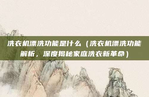洗衣机漂洗功能是什么（洗衣机漂洗功能解析，深度揭秘家庭洗衣新革命）