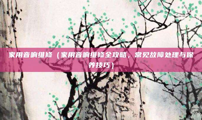 家用音响维修（家用音响维修全攻略，常见故障处理与保养技巧）
