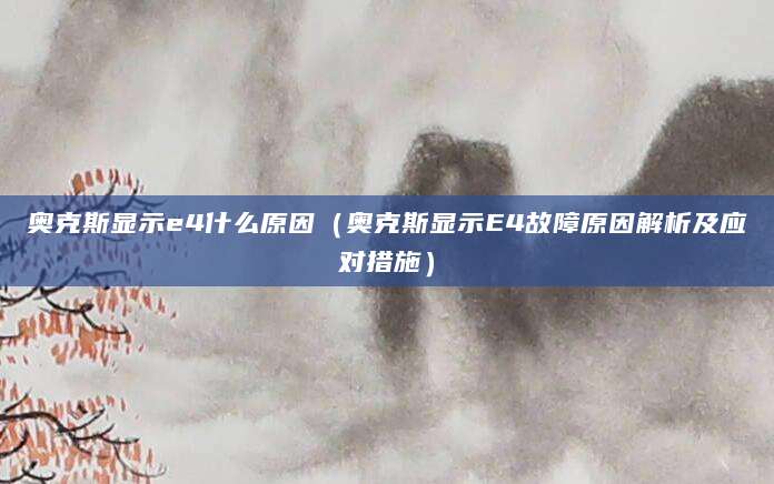 奥克斯显示e4什么原因（奥克斯显示E4故障原因解析及应对措施）