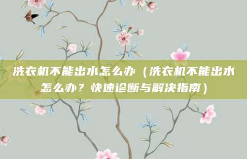 洗衣机不能出水怎么办（洗衣机不能出水怎么办？快速诊断与解决指南）
