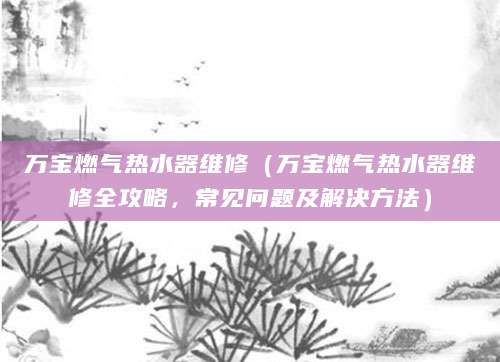 万宝燃气热水器维修(万宝燃气热水器维修全攻略,常见问题及解决方法)