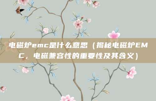 电磁炉emc是什么意思（揭秘电磁炉EMC，电磁兼容性的重要性及其含义）