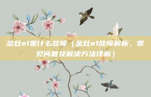 金灶e1是什么故障（金灶e1故障解析，常见问题及解决方法详解）