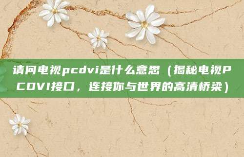 请问电视pcdvi是什么意思（揭秘电视PCDVI接口，连接你与世界的高清桥梁）