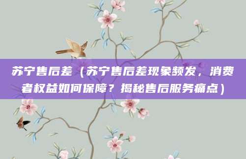 苏宁售后差（苏宁售后差现象频发，消费者权益如何保障？揭秘售后服务痛点）