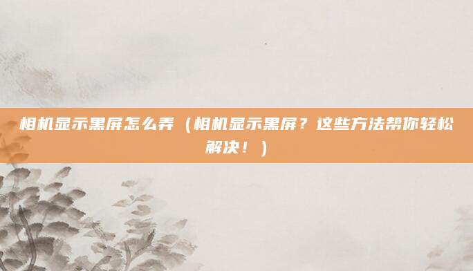 相机显示黑屏怎么弄（相机显示黑屏？这些方法帮你轻松解决！）